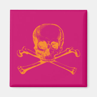 Imán Calavera vintage y cruces