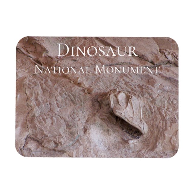 Imán Calavero y esqueleto de Camarasaurus, dinosaurio,  (Horizontal)