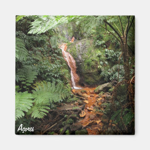 Imán Caldeira Velha de Azores