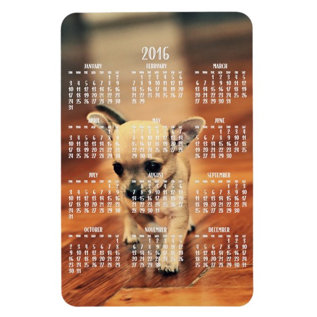 Imán Calendario Chihuahua 2016 Fotograma magnético 4x6  (Vertical)