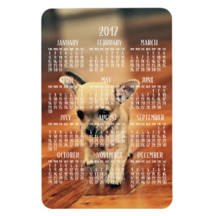 Imán Calendario Chihuahua 2017 Fotograma magnético 4x6