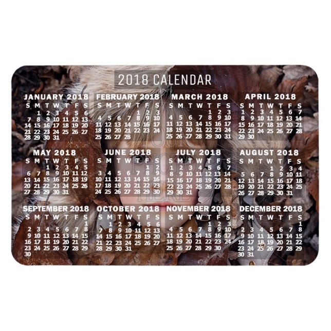 Imán Calendario de 2018 (consulte Descripción de la nue (Horizontal)
