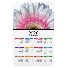 Imán Calendario de Gerbera Daisy Rosa y Blanco 2023