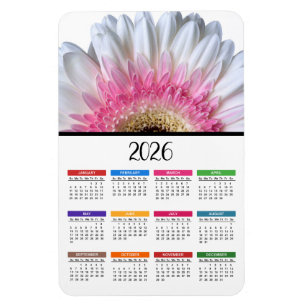 Imán Calendario de Gerbera Daisy Rosa y Blanco 2023