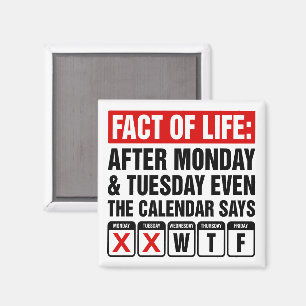 Imán Calendario de Hechos de la Vida Dice Humor WTF
