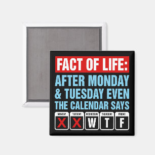 Imán Calendario de Hechos de la Vida Dice Humor WTF