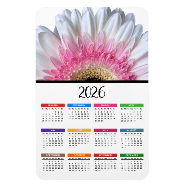 Imán Calendario de margaritas de Gerbera rosa y blanca  (Vertical)