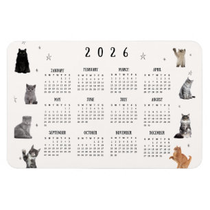 Imán Calendario divertido de gatos lindos 2026
