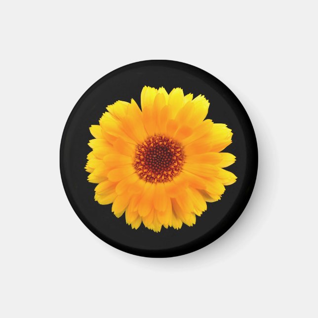 Imán Calendula Officinalis (Frente)