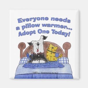 Imán Calentadores de almohada