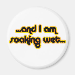 Imán Calentamiento húmedo