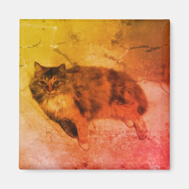 Imán Calico Cat Magnet (Frente)