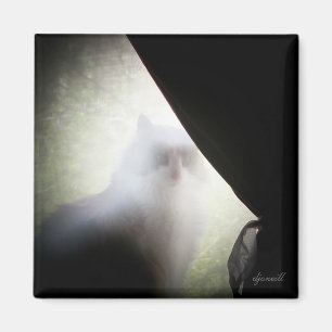 Imán Calico Ghost Cat de djoneill