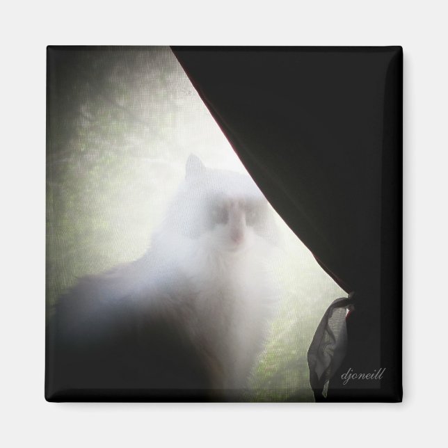 Imán Calico Ghost Cat de djoneill (Frente)