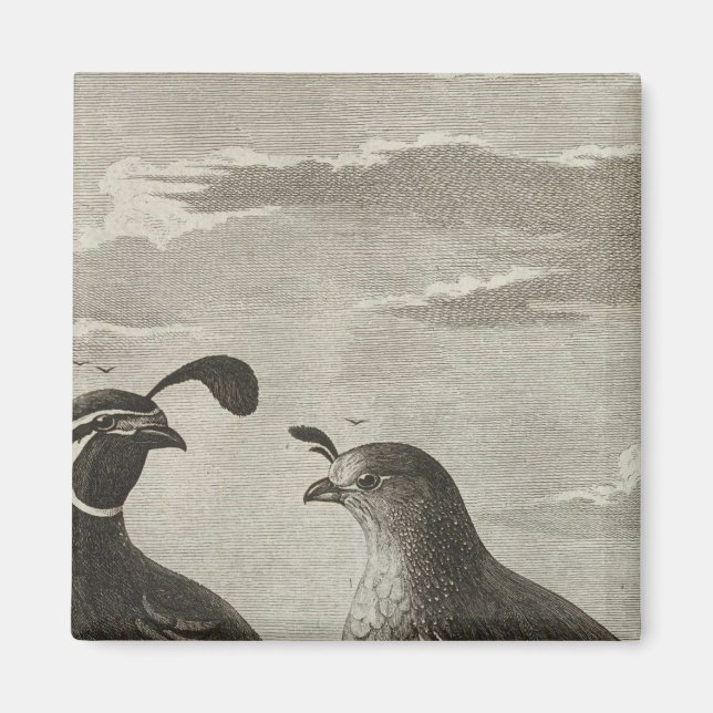 Imán California (Frente)