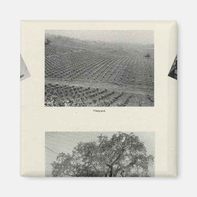 Imán California 4 (Frente)