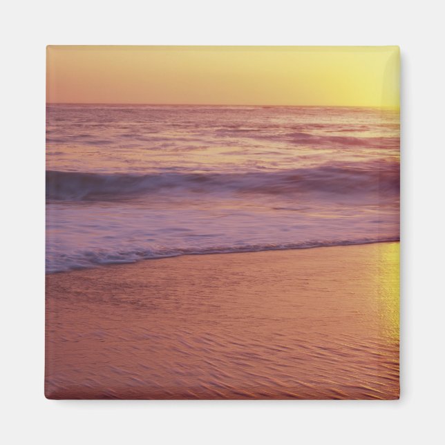 Imán California, cerca de Santa Cruz, Vista de la playa (Frente)