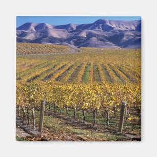 Imán California, Condado de San Luis Obispo, Edna Valle