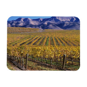 Imán California, Condado de San Luis Obispo, Valle de E