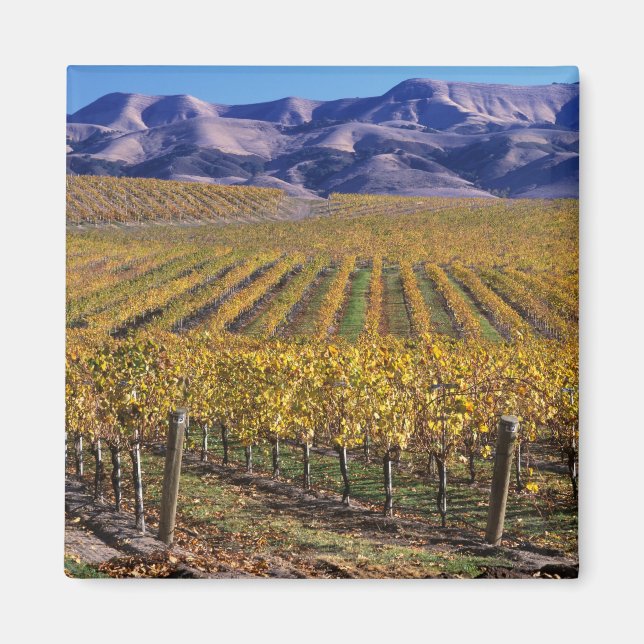 Imán California, Condado de San Luis Obispo, Valle Edna (Frente)