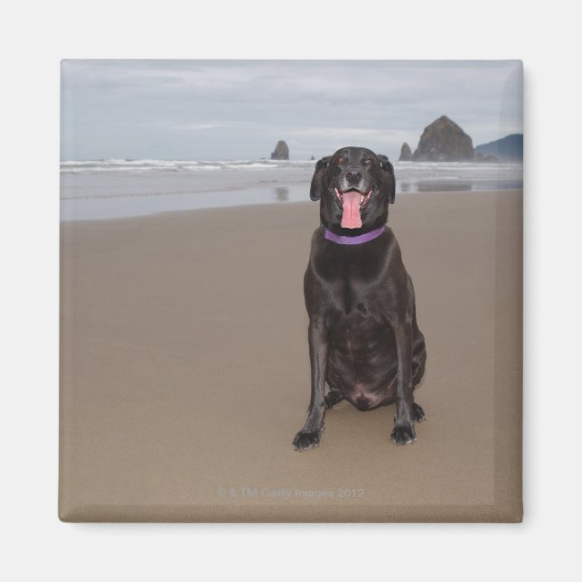 Imán California, Estados Unidos (Frente)