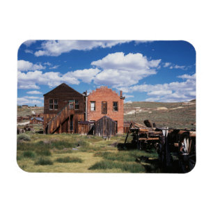 Imán California, Parque Histórico Estatal Bodie, Un ant