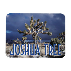 Imán California, Parque Nacional Joshua Tree