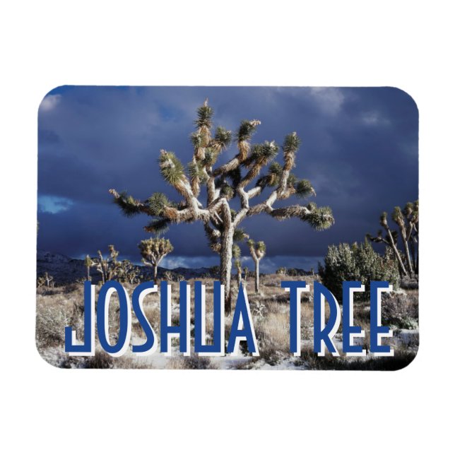 Imán California, Parque Nacional Joshua Tree (Horizontal)