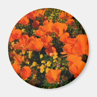 Imán California Poppies