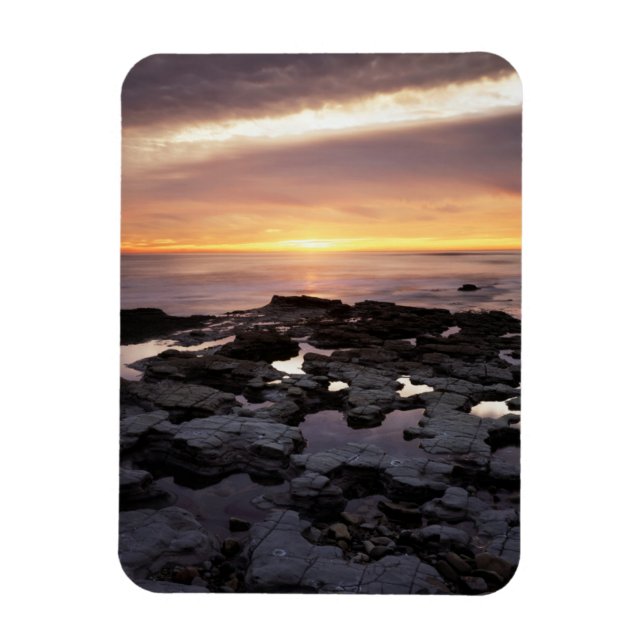 Imán California, San Diego, Sunset Cliffs, Sunset 6 (Vertical)