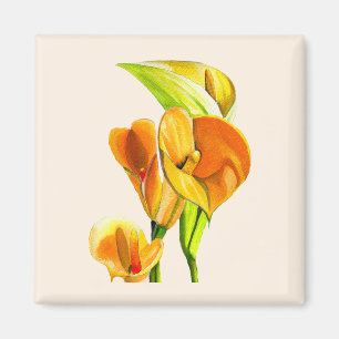 Imán Calla lily blossom acuarela floral