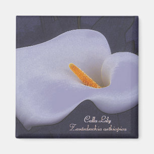 Imán Calla Lily Ilustracion Fridge Magnets