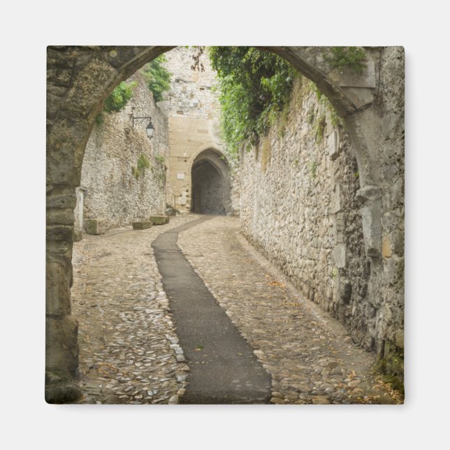 Imán Calle de adoquines grises, Francia (Frente)