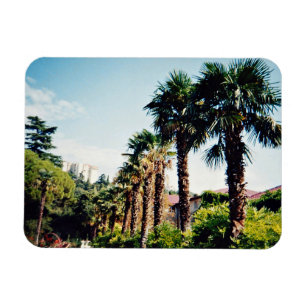 Imán Callejuela del Jardín Botánico Nikitsky en
