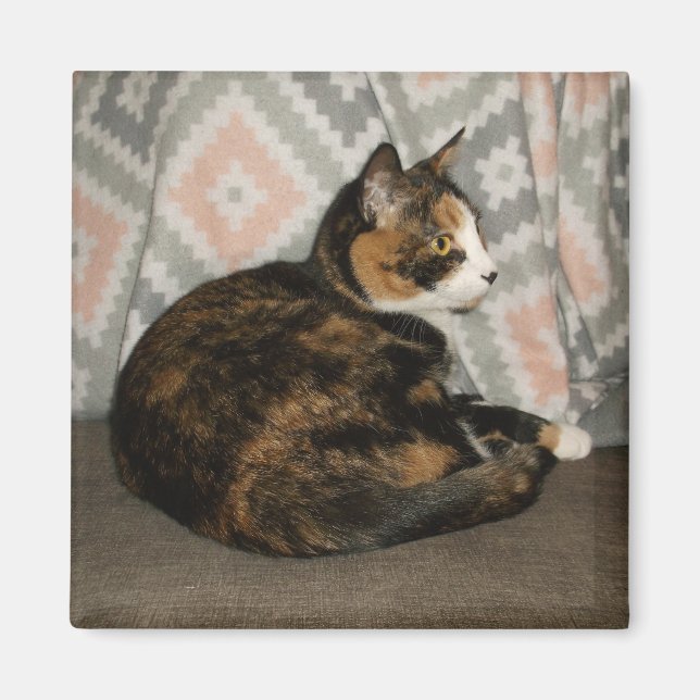 Imán Callie Cat en Sofa (Frente)