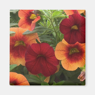 Imán Calor De La Floral Del Sol