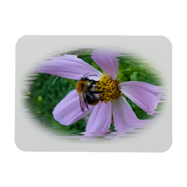 Imán Calor de verano (Horizontal)