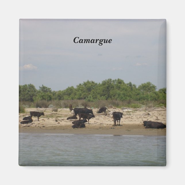 Imán Camargue - (Frente)