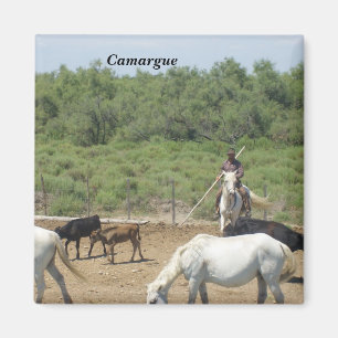 Imán Camargue -