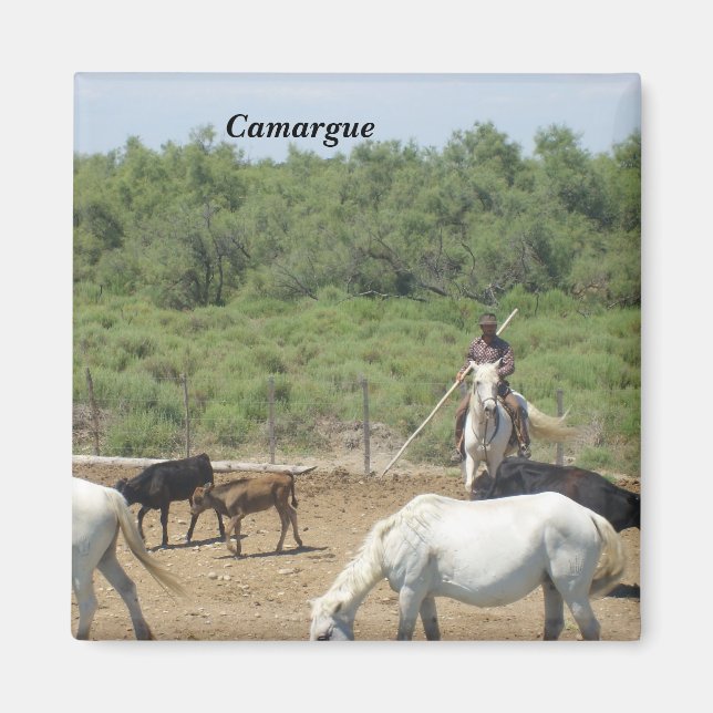 Imán Camargue - (Frente)