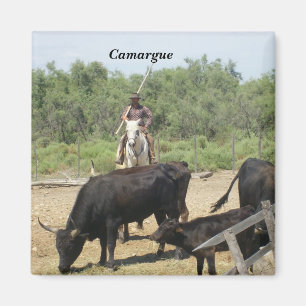 Imán Camargue -