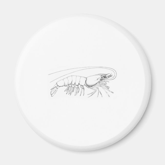 Imán Camarón (Frente)