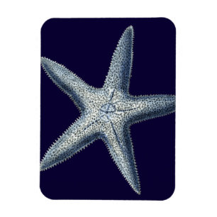 Imán Camas de añil IV