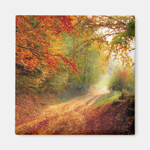 Imán Cambiar los colores del otoño