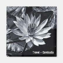Camboya - BW de flores de Lotus (imán frigorífico)