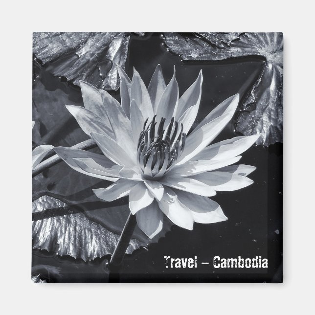 Imán Camboya - BW de flores de Lotus (imán frigorífico) (Frente)