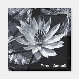Imán Camboya - Lotus Flower BW (imán Fridge)