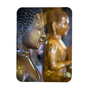 Imán Camboya, Phnom Penh. Estatuas de Buda