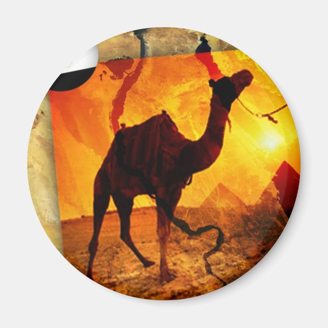 Imán Camello egipcio (Frente)