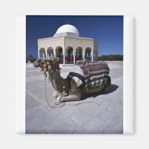 Imán Camello que descansa delante de la bóveda,